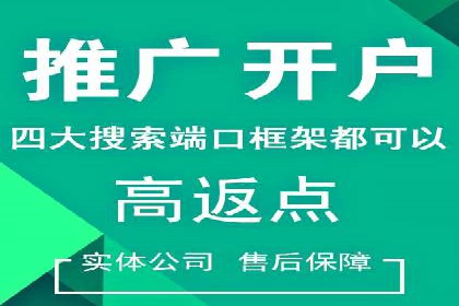搜索引擎营销（SEM）专员的挑战与机遇